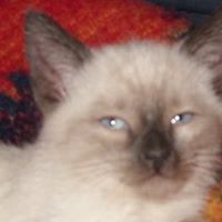 Susan Basore Photo 2