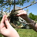 Amy Browning Photo 11