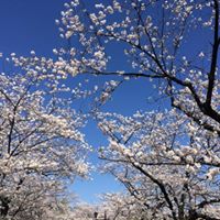 Xuefeng Wu Photo 7