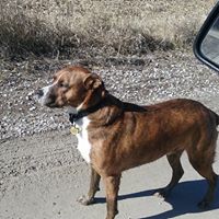 Lisa Hulbert Photo 9