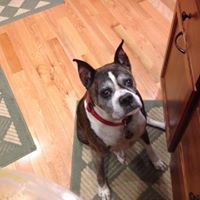 Christopher Andersen Photo 7