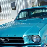 Cindy Quintana Photo 8