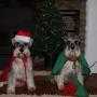 Sharon Ayres Photo 8