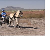 Cynthia Madden Photo 29