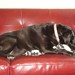Casey Couch Photo 16