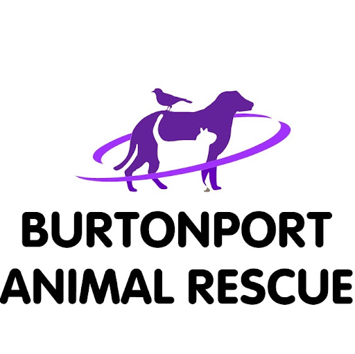 Annmarie Devine Photo 13