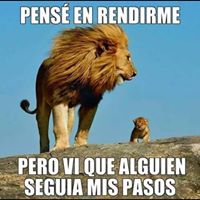 Rafael Osorio Photo 20