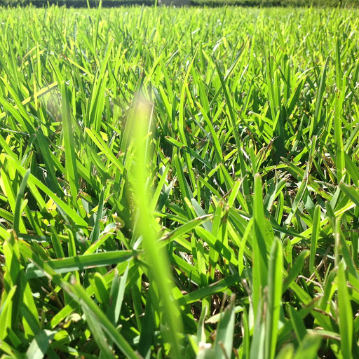 Erica Maxwell Photo 23