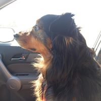 Julia Mathias Photo 10