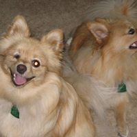 Vicki Sommers Photo 26