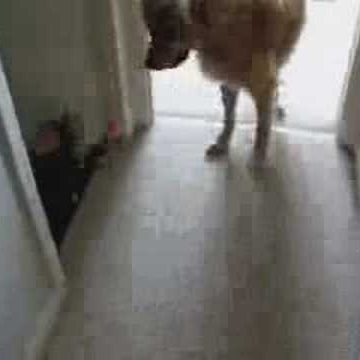 Rick Mullins Photo 30