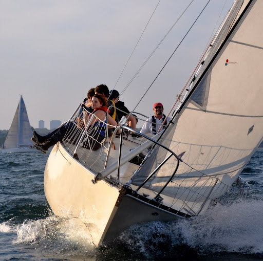 Scott Harrison Photo 57