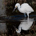 Michael Batis Photo 6