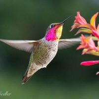 Darryl Baker Photo 16