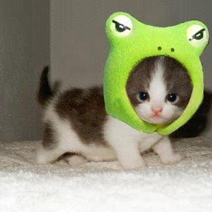 Margaret Mccloud Photo 6