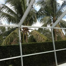 Marshall Hamilton Photo 16