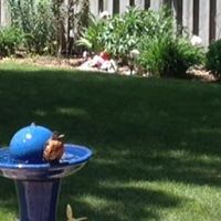 Barbara Camp Photo 15