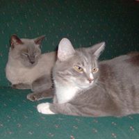 Thomas Dodd Photo 12 Thomas Dodd Photo 12