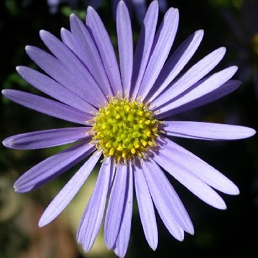 Kathy Hughes Photo 17