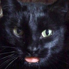 April Fowler Photo 38