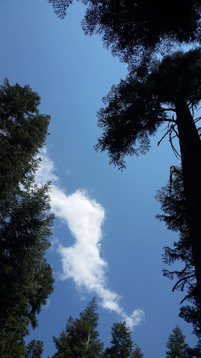 Kristy Jackson Photo 19