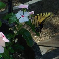 Kathleen Lowe Photo 15