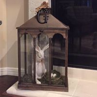 Leslie Goodman Photo 26