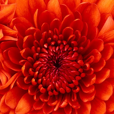 Denise Barber Photo 20