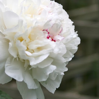 Christine Walraven Photo 4