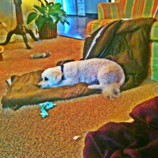 Alexander Cook Photo 16