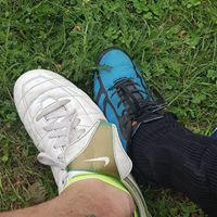 Mark Scholz Photo 20