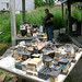 Kathleen Ware Photo 9