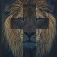 Cynthia Burk Photo 8