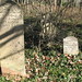Rebecca Fuqua Photo 24