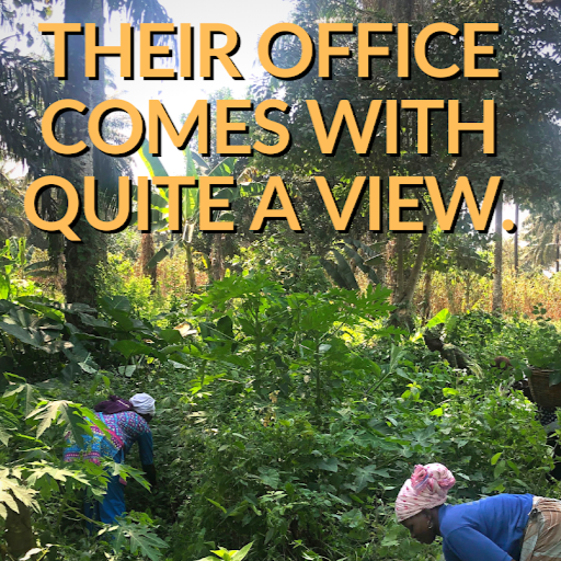 Anne Phillips Photo 34