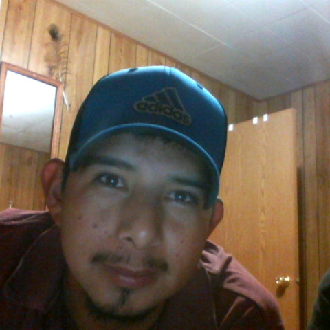 Noe Castro Photo 8