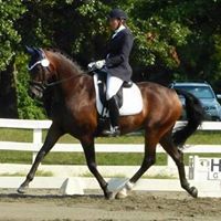 Carol Conner Photo 9