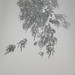 Sarah Laing Photo 9