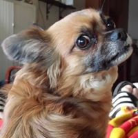 Barbara Eldridge Photo 33