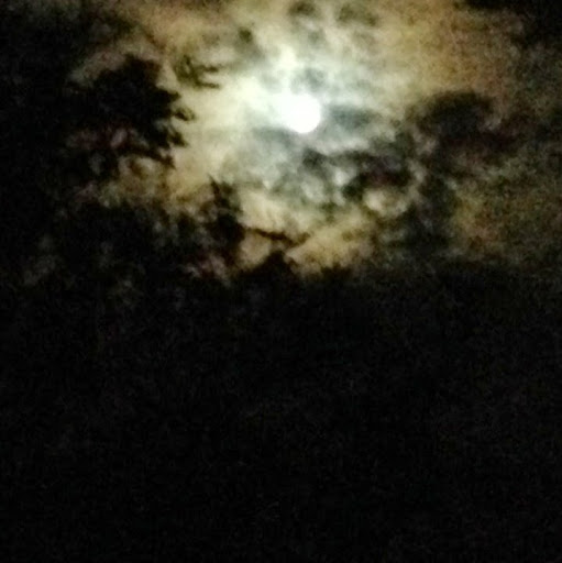 Brian Mcclure Photo 10