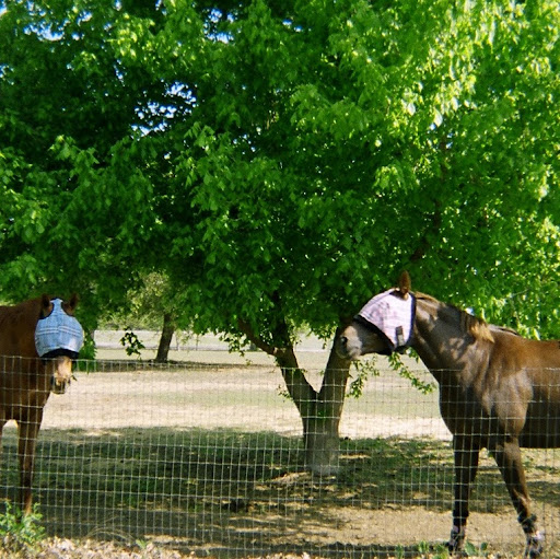 Charlotte Colbert Photo 15