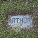 Arthur Holbrook Photo 8