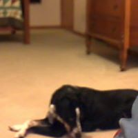 Charles Hartman Photo 28 Charles Hartman Photo 28