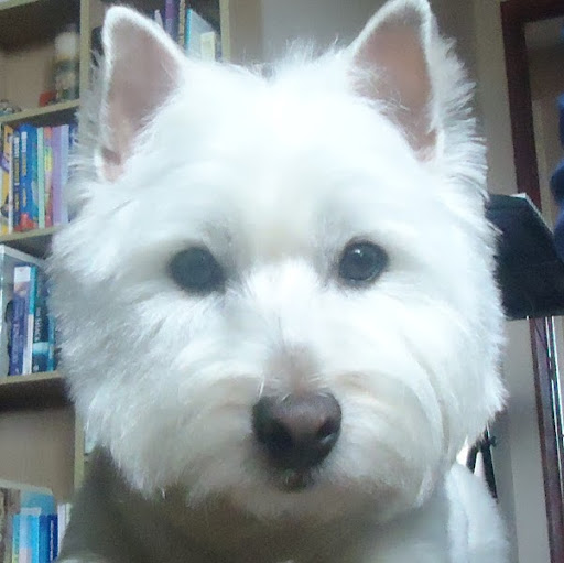 Louise Forbes Photo 16