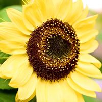 Tracie Wheeler Photo 18