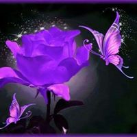 Jenny Erickson Photo 7