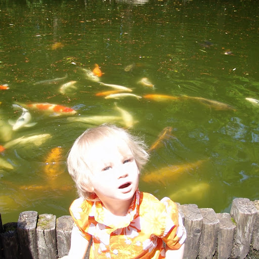 David Clemons Photo 16