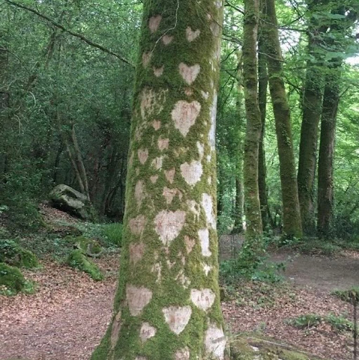 Bridget Morgan Photo 25