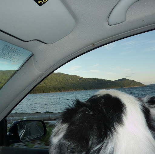 Jill Bates Photo 7 Jill Bates Photo 7