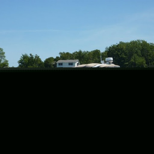 Lisa Freedman Photo 47